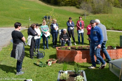 Das Hochbeet 10. Mai 2019-14.jpg