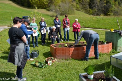 Das Hochbeet 10. Mai 2019-15.jpg