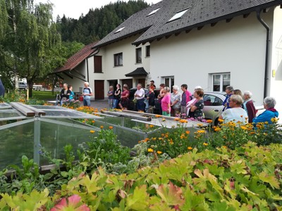 IMG_20190802_181016.jpg