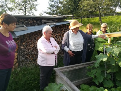 IMG_20190802_190615.jpg
