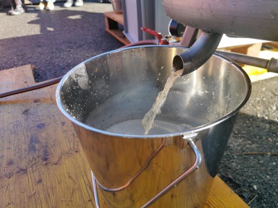 8 Kindergarten Erntedank 07. Oktober 2019-3 (3) (Copy) - Kopie.jpg
