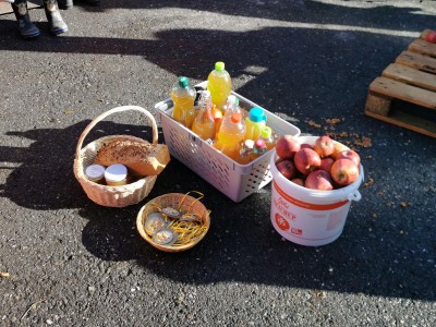 8 Kindergarten Erntedank 07. Oktober 2019-3 (7) (Copy).jpg