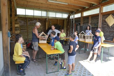 5 Bienenhotel 26. Juli 2019-7 (2) (Copy).jpg