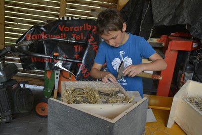 Ferienfaxen 2019