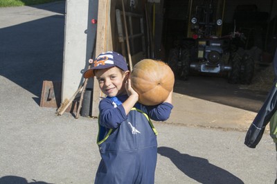 Kindergarten Kürbisernte 01. Oktober 2015 (11).jpg