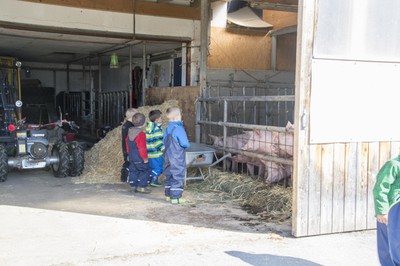 Kindergarten Kürbisernte 01. Oktober 2015 (12).jpg