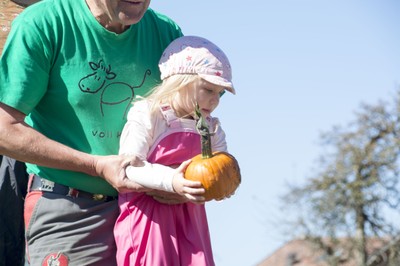Kindergarten Kürbisernte 01. Oktober 2015 (14).jpg