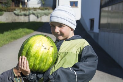 Kindergarten Kürbisernte 01. Oktober 2015 (21).jpg