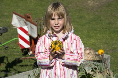 Kindergarten Kürbisernte 01. Oktober 2015 (22).jpg