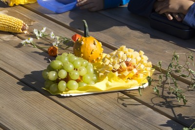 Kindergarten Kürbisernte 01. Oktober 2015 (33).jpg