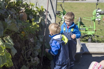 Kindergarten Kürbisernte 01. Oktober 2015 (8).jpg