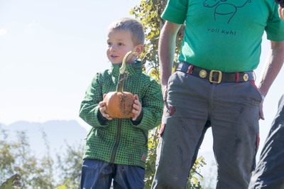 Kindergarten Kürbisernte 01. Oktober 2015 (9).jpg