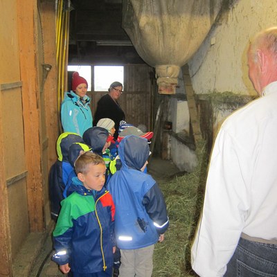 Bauernhof_Mai16 (13).JPG