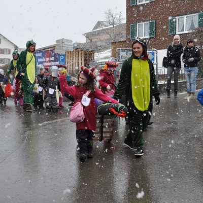 Faschingsumzug 2018 (2).JPG