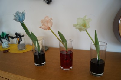 Februar 2024 (80).JPG