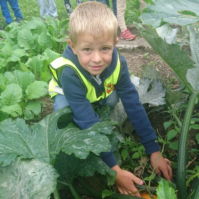 Garten ernten (1).JPG