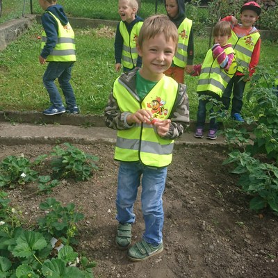 Garten ernten (10).JPG
