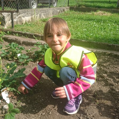 Garten ernten (13).JPG