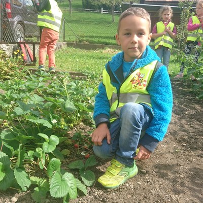 Garten ernten (15).JPG