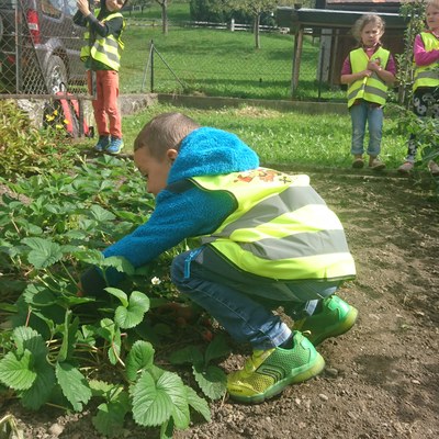 Garten ernten (16).JPG