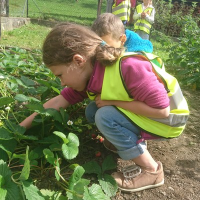 Garten ernten (17).JPG