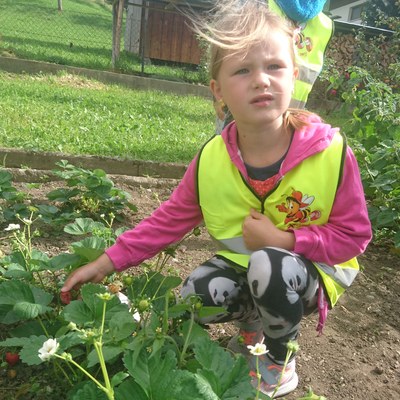 Garten ernten (18).JPG