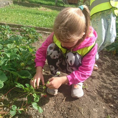 Garten ernten (19).JPG