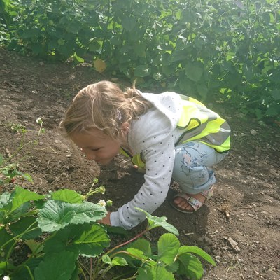Garten ernten (21).JPG
