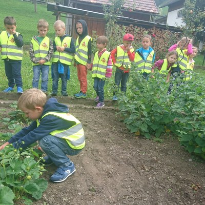 Garten ernten (8).JPG