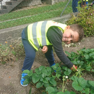 Garten ernten (9).JPG