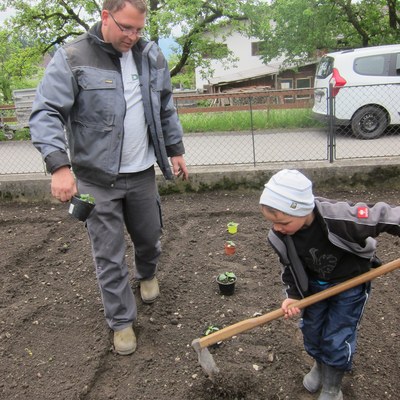 Garten pflanzen_Mai16 (13).JPG