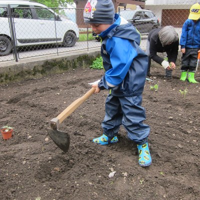 Garten pflanzen_Mai16 (15).JPG