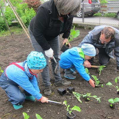 Garten pflanzen_Mai16 (19).JPG