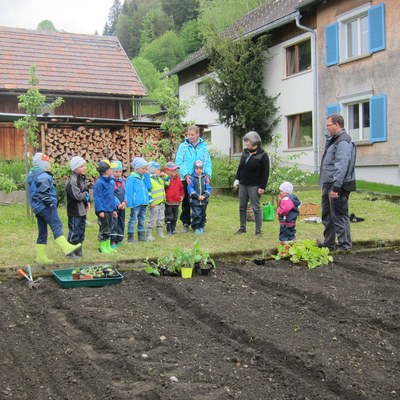 Garten pflanzen_Mai16 (2).JPG