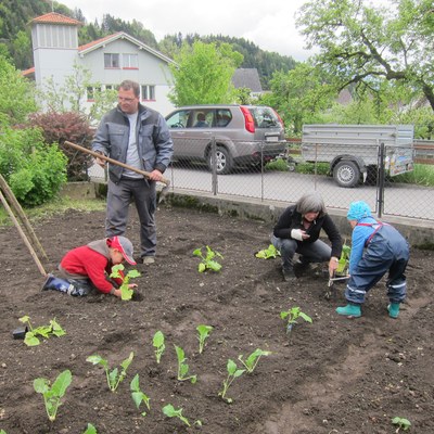 Garten pflanzen_Mai16 (21).JPG