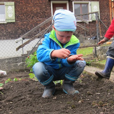 Garten pflanzen_Mai16 (23).JPG