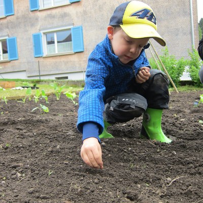 Garten pflanzen_Mai16 (33).JPG