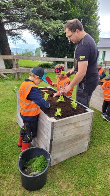 Gartenprojekt Hochbeete_Mai 2024 (19).jpg
