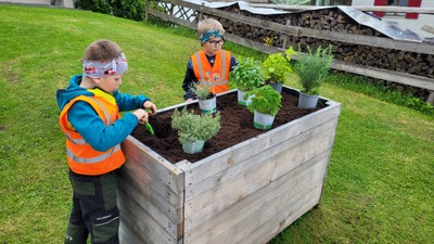 Gartenprojekt Hochbeete_Mai 2024 (21).jpg