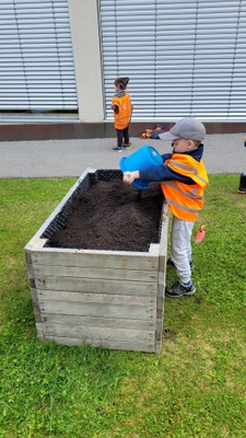 Gartenprojekt Hochbeete_Mai 2024 (9).jpg