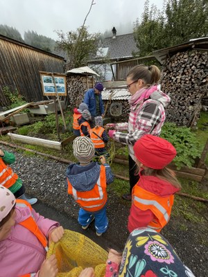 Heukartoffeln ernten _ September 2022 (2).JPG
