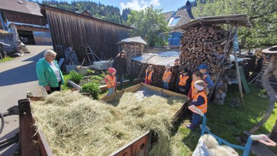 Heukartoffeln pflanzen_Mai 2022 (33).jpg