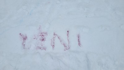 Jänner 2022 (152).jpg