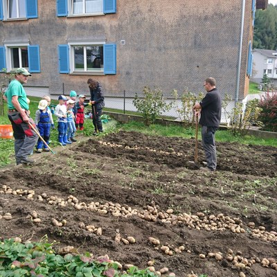 Kartoffeln ernten_September_2017 (51).JPG