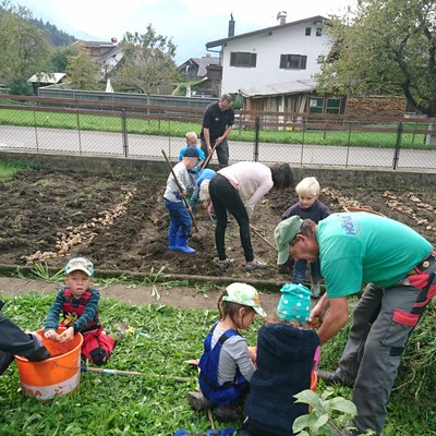 Kartoffeln ernten_September_2017 (63).JPG