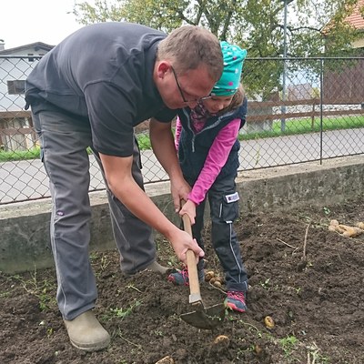 Kartoffeln ernten_September_2017 (65).JPG