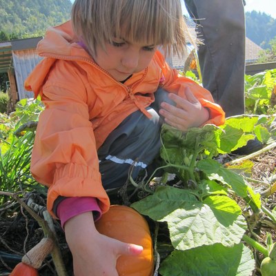 Kürbis ernten_Sept15 (12).JPG