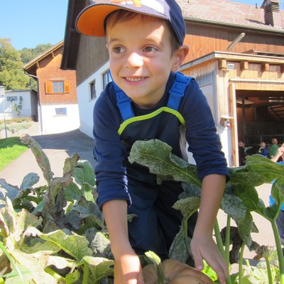 Kürbis ernten_Sept15 (9).JPG