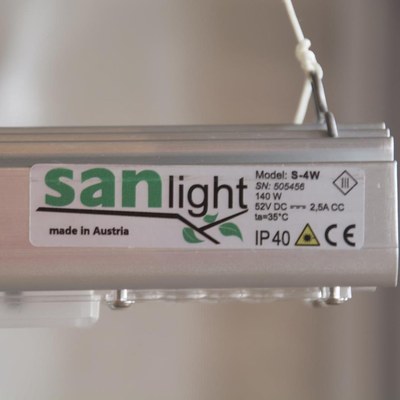 SunLight_Propago (2).jpg