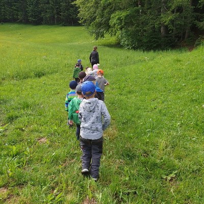 Waldwoche Juni 2019 (2).jpg